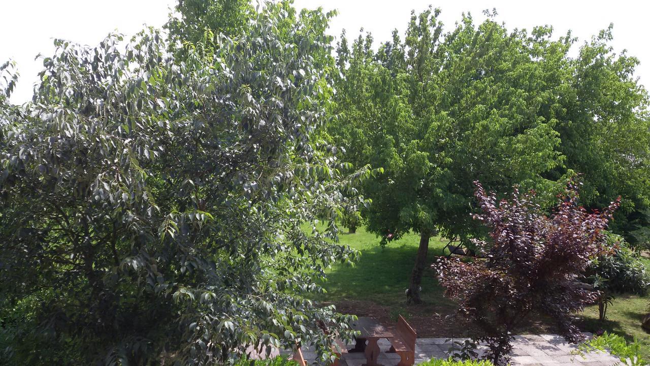 Agriturismo La Pace Villa Valeggio sul Mincio Buitenkant foto